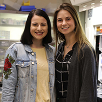 10932_10572_19011-employee