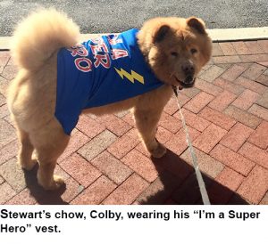 Rebekah – Colby jacket cutlines 2