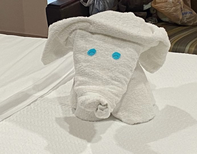 Towel Animal