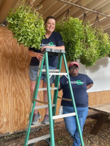 Nine Eleven Days of Service