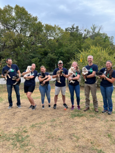 Nine Eleven Days of Service 2
